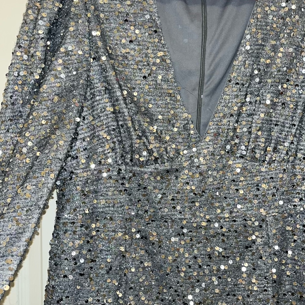 Elegant Silver Sequin Dress - Picture 2 of 4